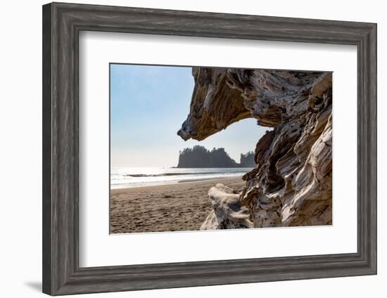 Headland at La Push Beach in the the Pacific Northwest, Washington State, United States of America,-Martin Child-Framed Photographic Print