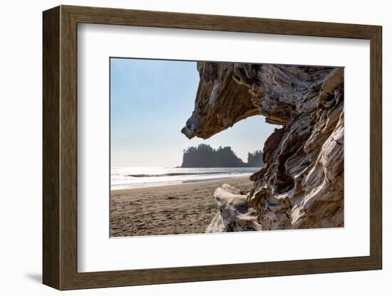 Headland at La Push Beach in the the Pacific Northwest, Washington State, United States of America,-Martin Child-Framed Photographic Print