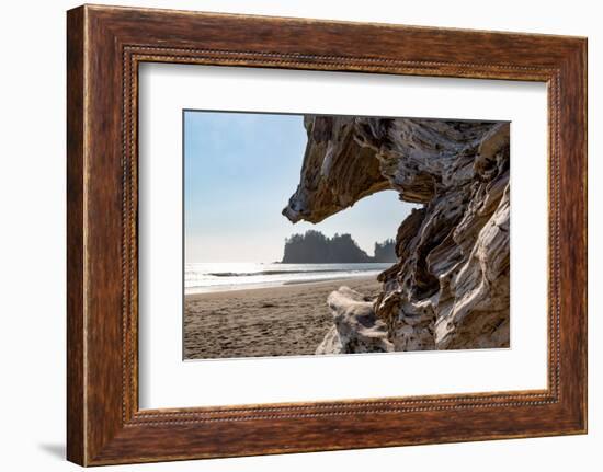 Headland at La Push Beach in the the Pacific Northwest, Washington State, United States of America,-Martin Child-Framed Photographic Print