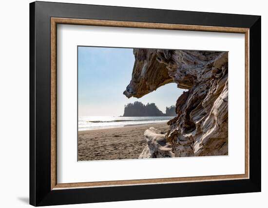 Headland at La Push Beach in the the Pacific Northwest, Washington State, United States of America,-Martin Child-Framed Photographic Print