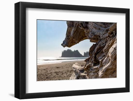 Headland at La Push Beach in the the Pacific Northwest, Washington State, United States of America,-Martin Child-Framed Photographic Print