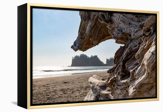 Headland at La Push Beach in the the Pacific Northwest, Washington State, United States of America,-Martin Child-Framed Premier Image Canvas