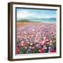 Headland Wildflowers-Danhui Nai-Framed Art Print