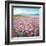 Headland Wildflowers-Danhui Nai-Framed Art Print