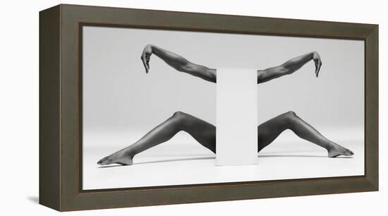 Headless Symmetry-Ross Oscar-Framed Premier Image Canvas