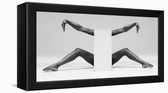 Headless Symmetry-Ross Oscar-Framed Premier Image Canvas