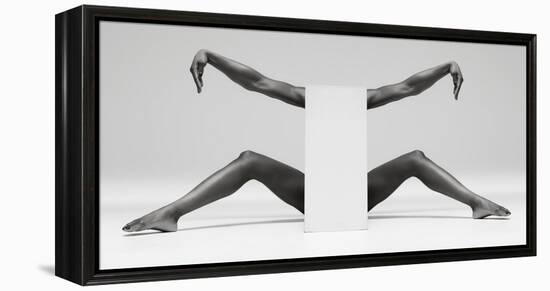 Headless Symmetry-Ross Oscar-Framed Premier Image Canvas