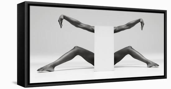 Headless Symmetry-Ross Oscar-Framed Premier Image Canvas