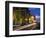 Headlights in the Pearl District, Portland, Oregon, USA-Janis Miglavs-Framed Photographic Print