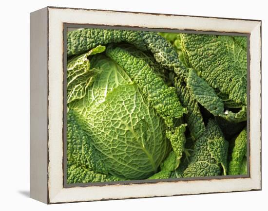 Heads of Lettuce-null-Framed Premier Image Canvas