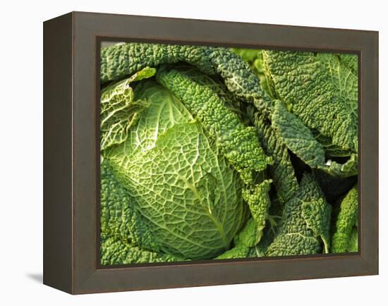 Heads of Lettuce-null-Framed Premier Image Canvas