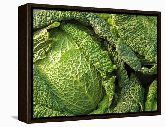 Heads of Lettuce-null-Framed Premier Image Canvas