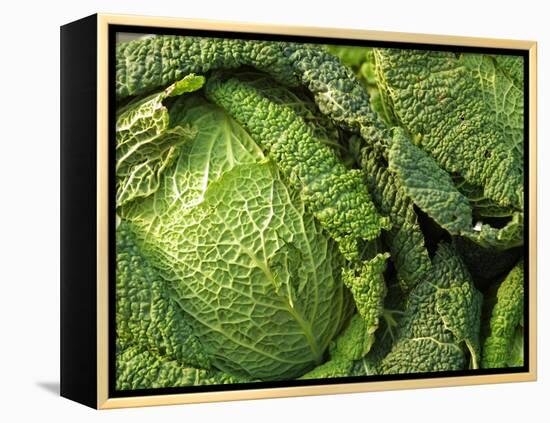 Heads of Lettuce-null-Framed Premier Image Canvas