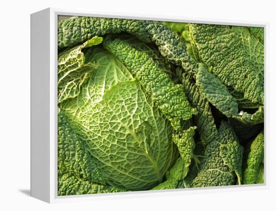 Heads of Lettuce-null-Framed Premier Image Canvas