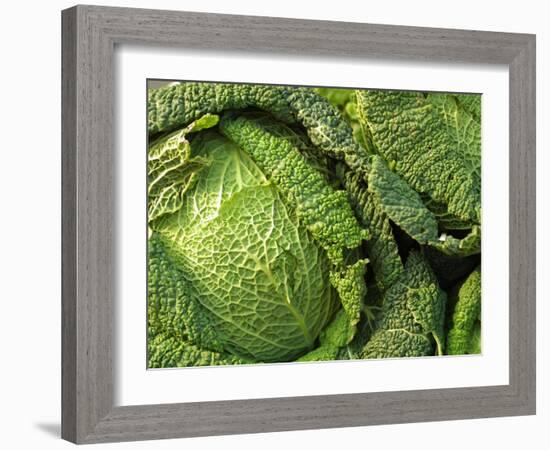 Heads of Lettuce-null-Framed Photographic Print