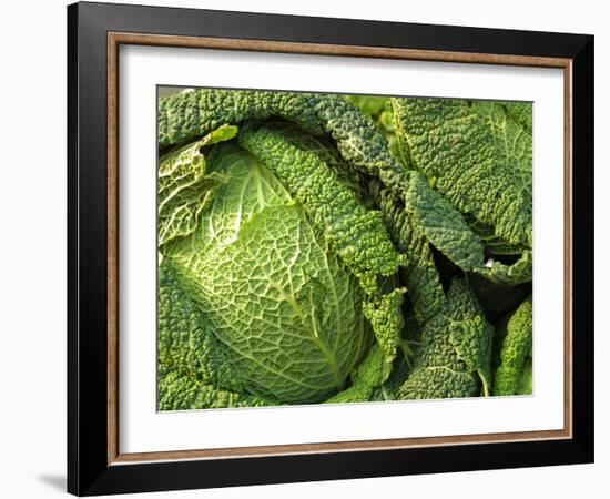 Heads of Lettuce-null-Framed Photographic Print