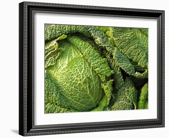 Heads of Lettuce-null-Framed Photographic Print