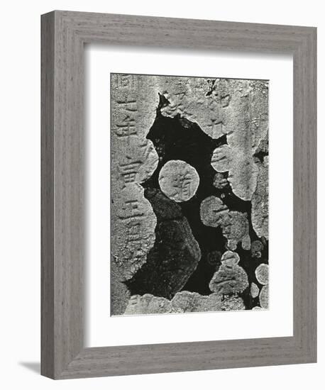 Headstone and Lichen, Japan, 1970-Brett Weston-Framed Photographic Print