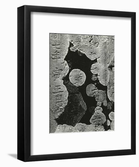 Headstone and Lichen, Japan, 1970-Brett Weston-Framed Photographic Print