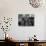 Headstones in the Graveyard of the Jewish Cemetery, Josefov, Prague, Czech Republic-Richard Nebesky-Photographic Print displayed on a wall