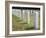 Headstones Mark the Graves of Veterans and their Loved Ones at Barrancas National Cemetery, Naval A-Steven Frame-Framed Photographic Print