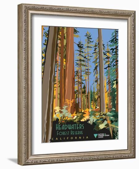 Headwaters Forest Reserve-Bureau of Land Management-Framed Art Print