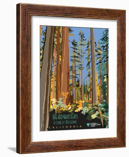 Headwaters Forest Reserve-Bureau of Land Management-Framed Art Print