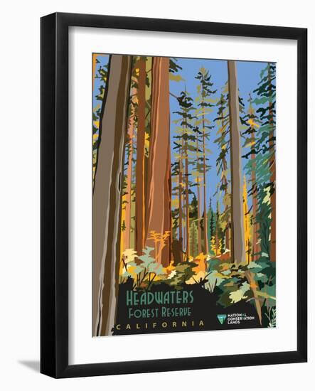 Headwaters Forest Reserve-Bureau of Land Management-Framed Art Print