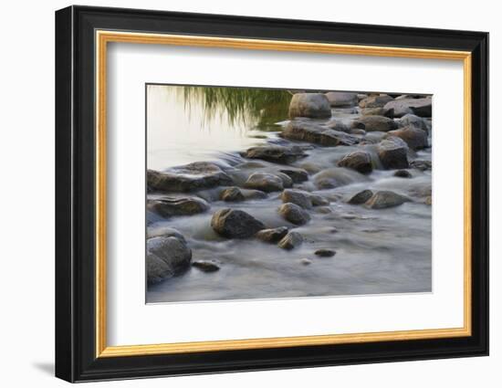 Headwaters of the Mississippi River, Itasca, Minnesota-Gayle Harper-Framed Photographic Print