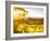 Healdsberg, Sonoma County, California: Sunset on Northern California Vineyards.-Ian Shive-Framed Photographic Print