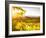 Healdsberg, Sonoma County, California: Sunset on Northern California Vineyards.-Ian Shive-Framed Photographic Print