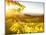 Healdsberg, Sonoma County, California: Sunset on Northern California Vineyards.-Ian Shive-Mounted Photographic Print