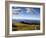 Healdsberg, Sonoma County, California: Vineyard at Sunset.-Ian Shive-Framed Photographic Print