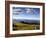 Healdsberg, Sonoma County, California: Vineyard at Sunset.-Ian Shive-Framed Photographic Print