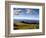 Healdsberg, Sonoma County, California: Vineyard at Sunset.-Ian Shive-Framed Photographic Print