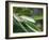 Healdsburg, California:-Ian Shive-Framed Photographic Print