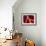 Healdsburg, California:-Ian Shive-Framed Photographic Print displayed on a wall