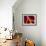 Healdsburg, California:-Ian Shive-Framed Photographic Print displayed on a wall