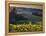 Healdsburg, Sonoma County, California: Vineyard and Winery at Sunset-Ian Shive-Framed Premier Image Canvas