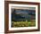 Healdsburg, Sonoma County, California: Vineyard and Winery at Sunset-Ian Shive-Framed Photographic Print