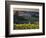 Healdsburg, Sonoma County, California: Vineyard and Winery at Sunset-Ian Shive-Framed Photographic Print