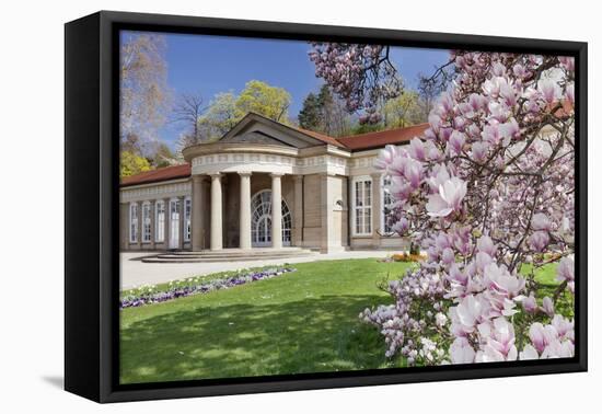 Health Resort House, Bad Cannstatt, Magnolia Blossom, Stuttgart, Baden-Wurttemberg Germany-Markus Lange-Framed Premier Image Canvas