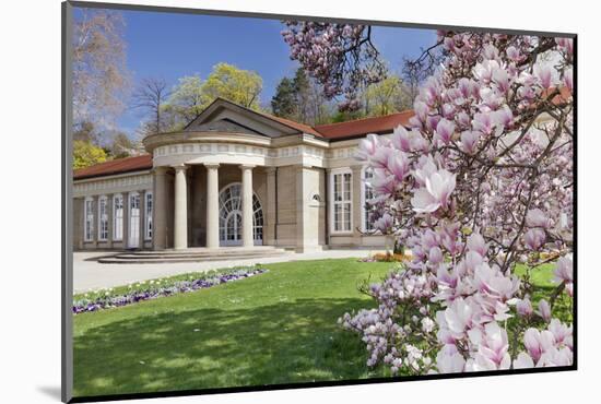 Health Resort House, Bad Cannstatt, Magnolia Blossom, Stuttgart, Baden-Wurttemberg Germany-Markus Lange-Mounted Photographic Print