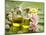 Health Spa on Banana Leaf-crystalfoto-Mounted Photographic Print