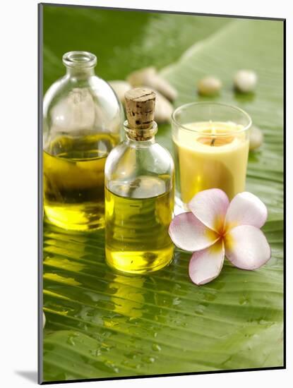 Health Spa with Massage Oil, Frangipani,Candle-crystalfoto-Mounted Photographic Print