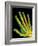 Healthy Adult Hand, X-ray-Science Photo Library-Framed Photographic Print