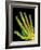 Healthy Adult Hand, X-ray-Science Photo Library-Framed Photographic Print