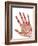 Healthy Adult Hand, X-ray-Science Photo Library-Framed Photographic Print