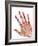 Healthy Adult Hand, X-ray-Science Photo Library-Framed Photographic Print