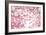 Healthy Cervical Smear-Science Photo Library-Framed Photographic Print